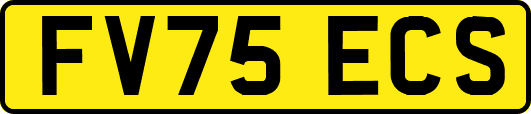 FV75ECS
