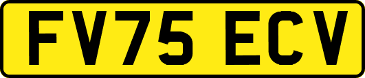 FV75ECV