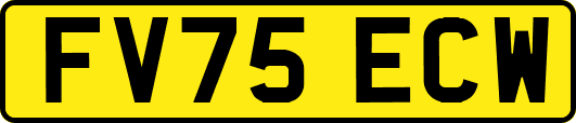 FV75ECW