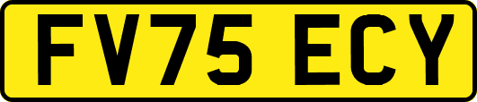 FV75ECY
