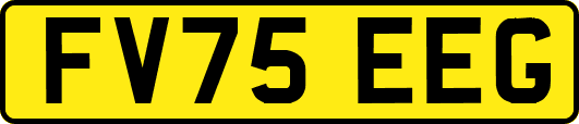 FV75EEG