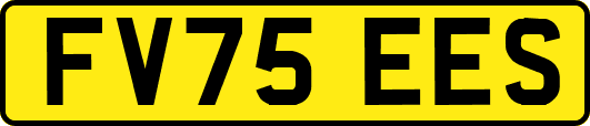 FV75EES