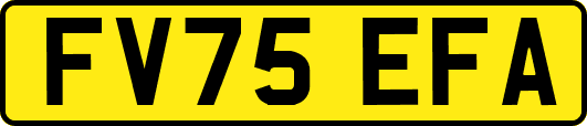 FV75EFA