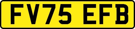 FV75EFB