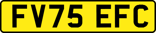 FV75EFC