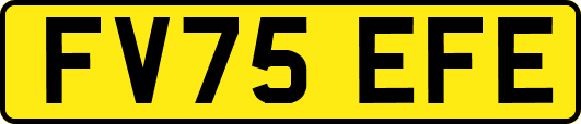 FV75EFE
