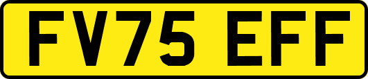 FV75EFF