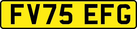 FV75EFG