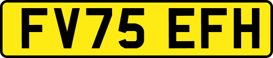 FV75EFH