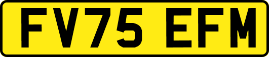 FV75EFM