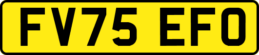 FV75EFO