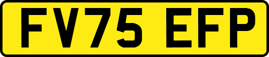 FV75EFP