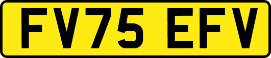 FV75EFV