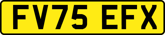 FV75EFX