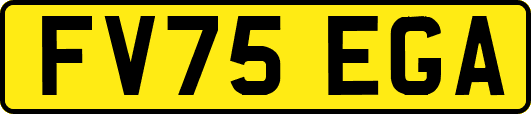 FV75EGA