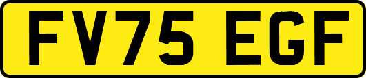 FV75EGF