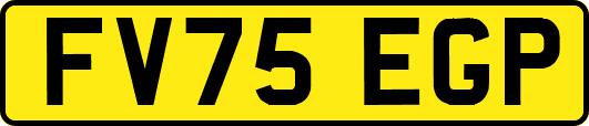 FV75EGP