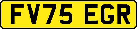 FV75EGR