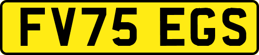 FV75EGS