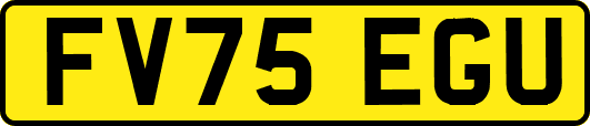 FV75EGU