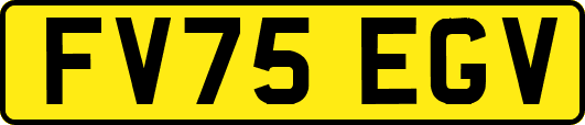 FV75EGV