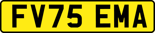 FV75EMA