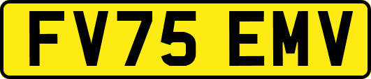 FV75EMV