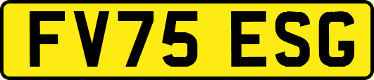 FV75ESG