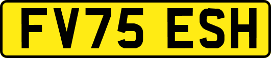 FV75ESH