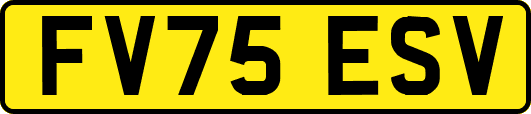 FV75ESV