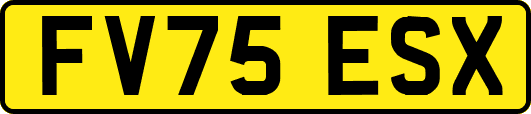 FV75ESX