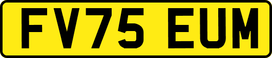 FV75EUM