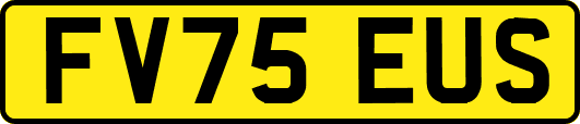 FV75EUS