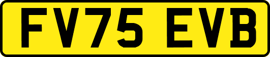 FV75EVB