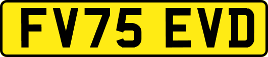 FV75EVD