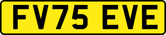 FV75EVE