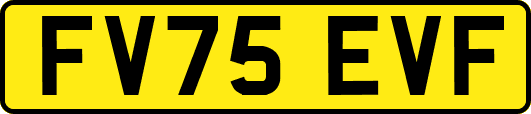 FV75EVF