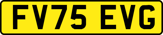 FV75EVG