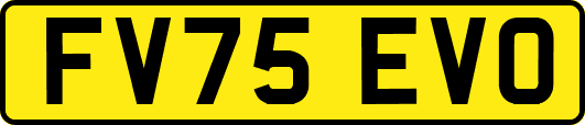 FV75EVO