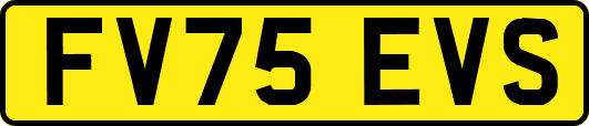 FV75EVS