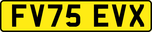 FV75EVX