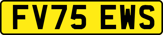 FV75EWS