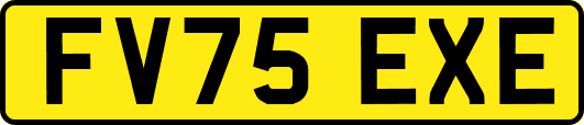 FV75EXE