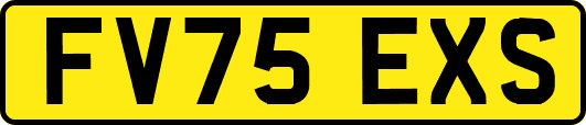 FV75EXS