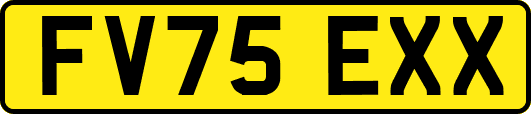 FV75EXX