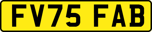 FV75FAB