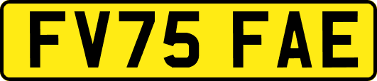 FV75FAE