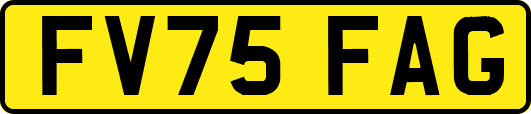 FV75FAG