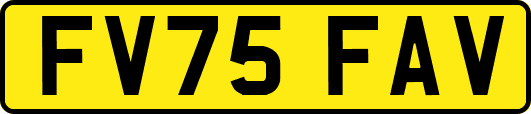 FV75FAV