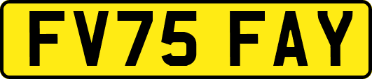 FV75FAY